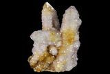 Cactus Quartz (Amethyst) Cluster - South Africa #115123-1